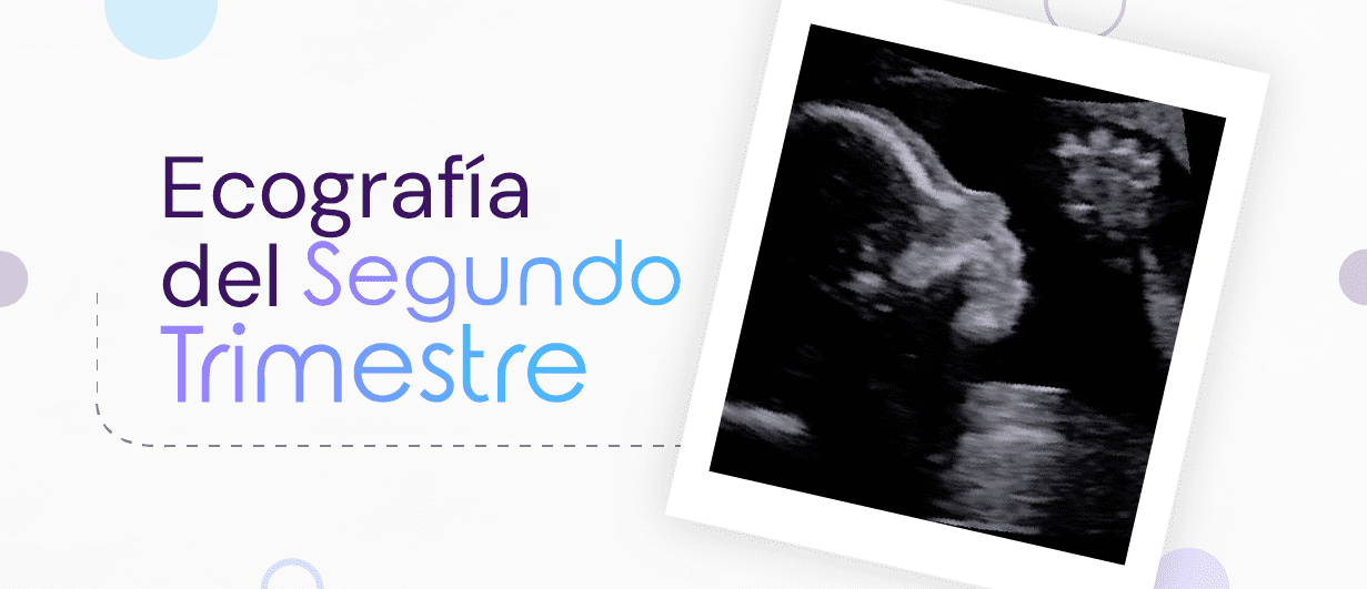 ecografia-del-primer-trimestre-en-quito